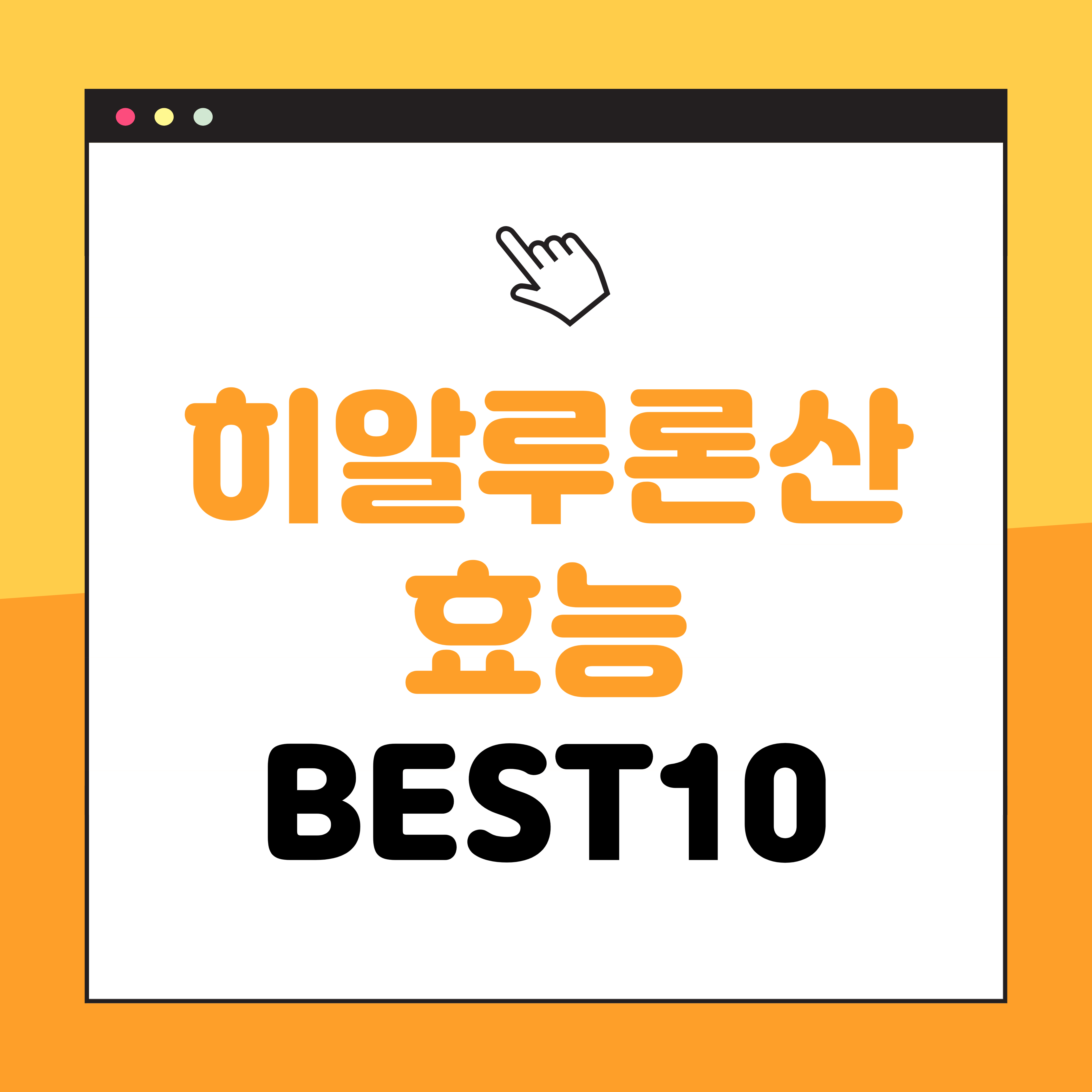 히알루론산 효능 best10