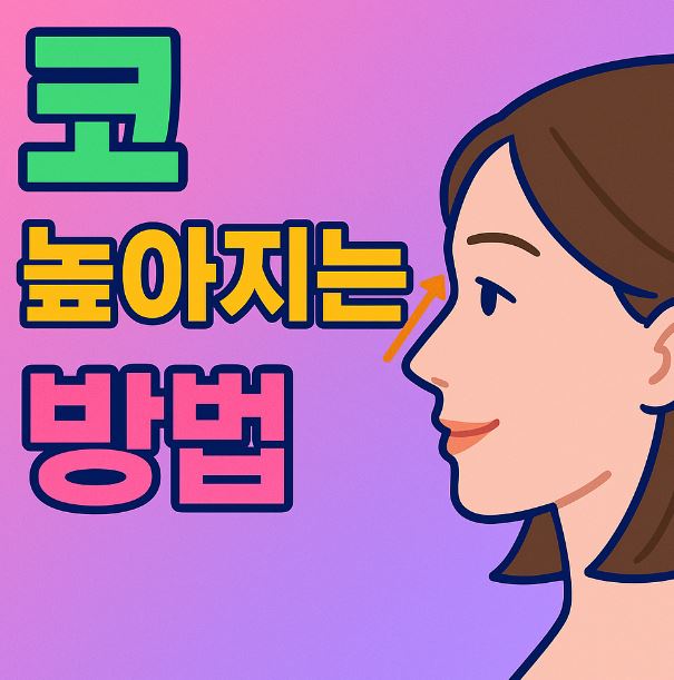 코 높아지는 방법 : 마사지, 습관, 메이크업 팁 까지