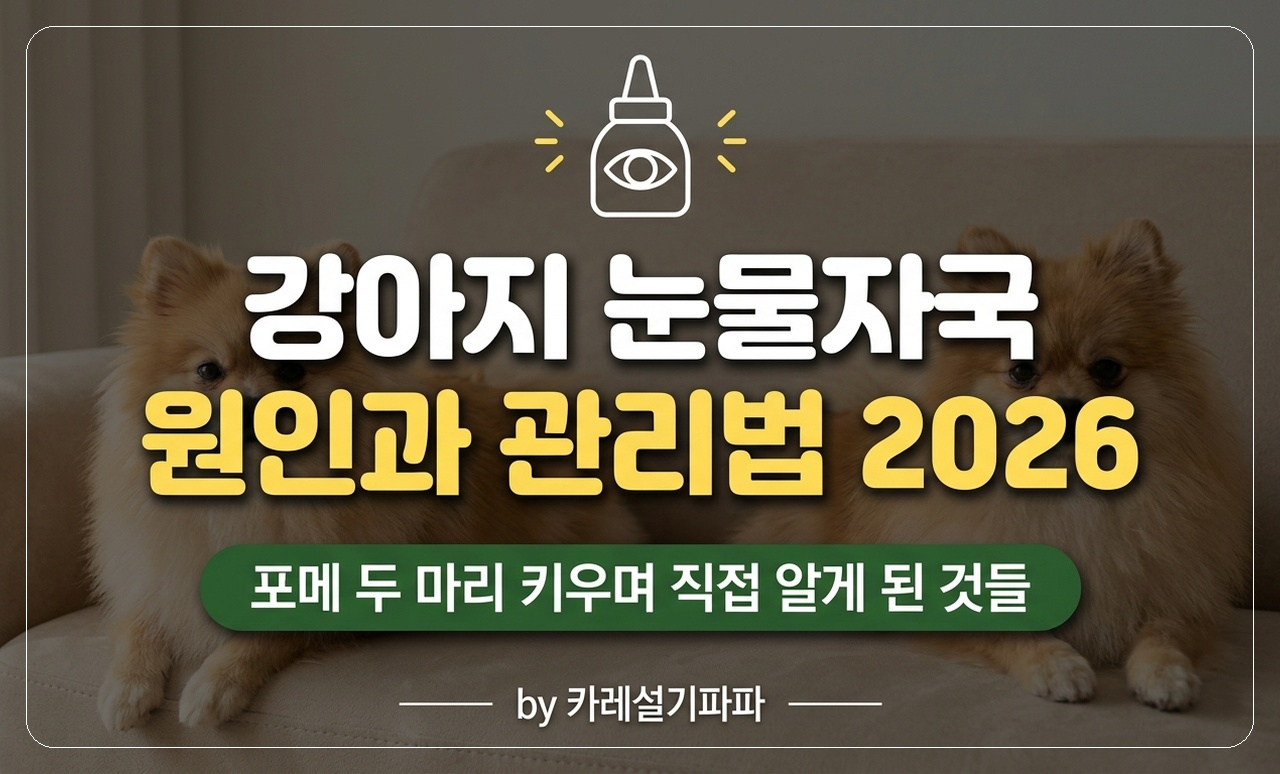 눈물자국 썸네일