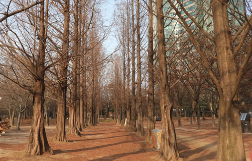 겨울에도 OK! 반려견과 함께하는 나들이 장소 BEST 7