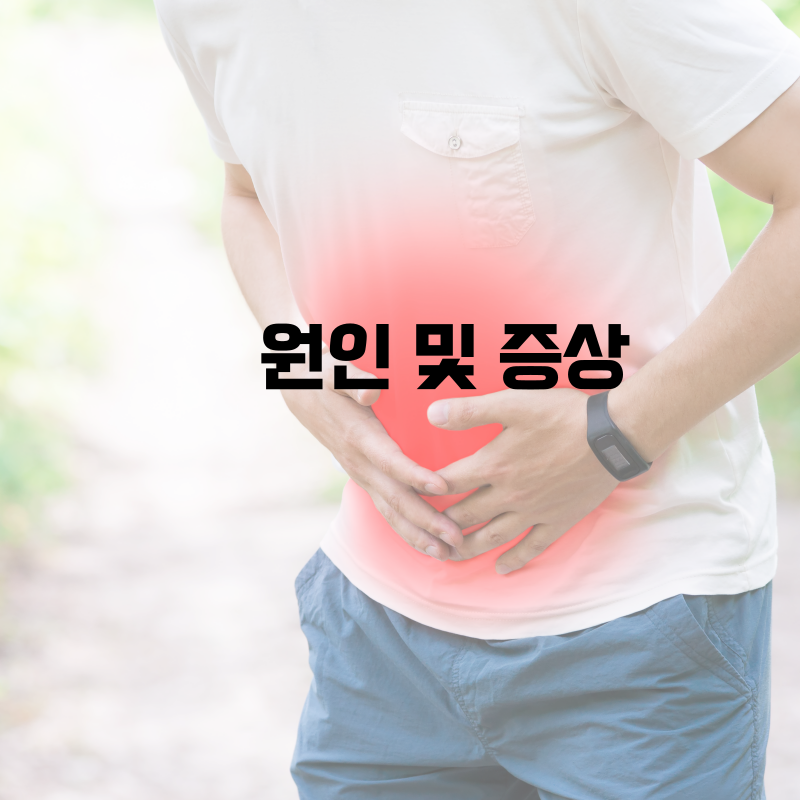 담장용종제거