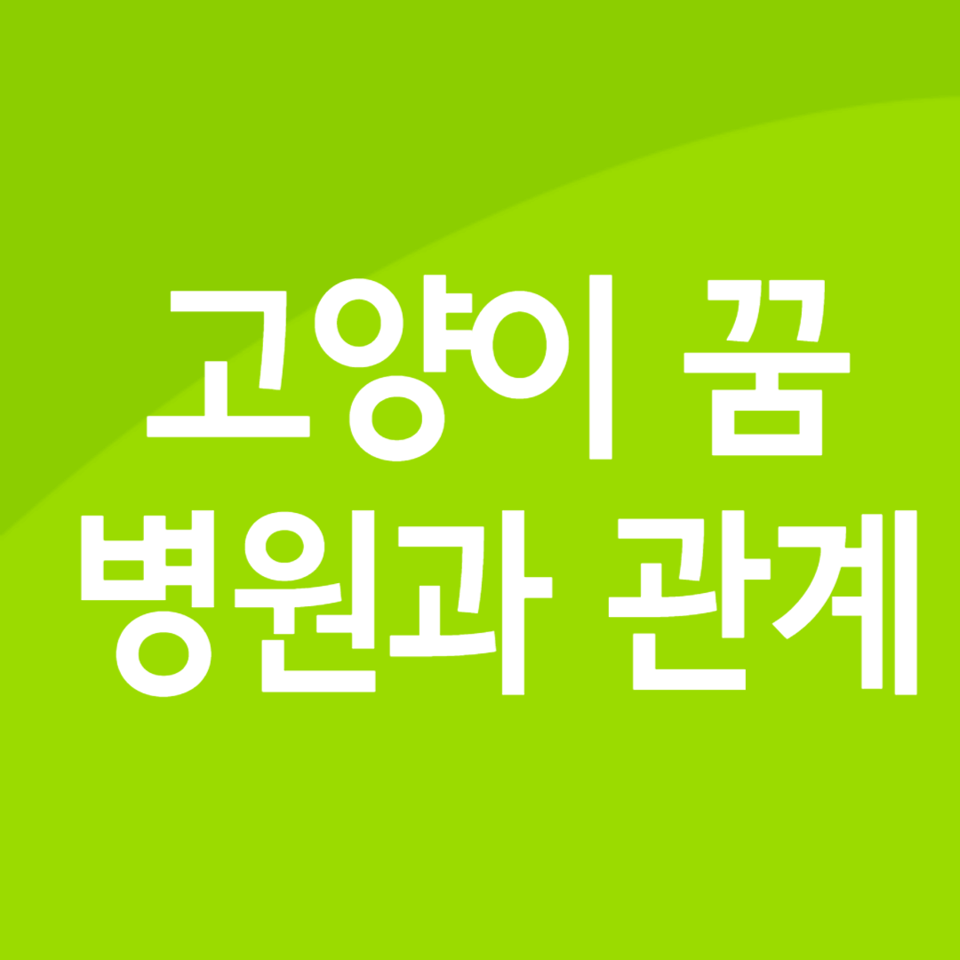 고양이 꿈 병원