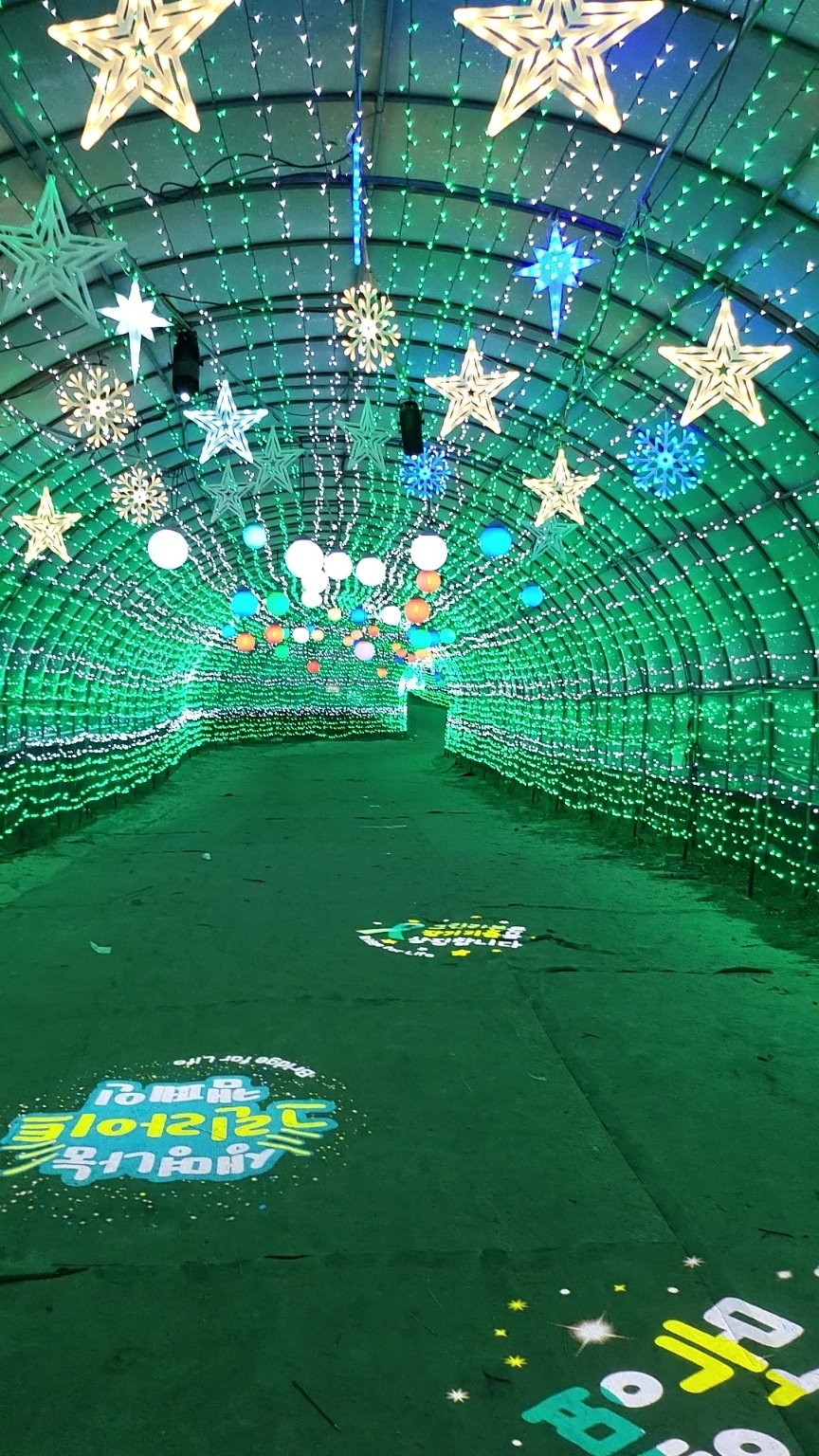 태안빛축제 &amp; 꽃박람회