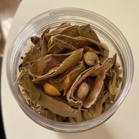 작두콩차 효능 10가지 및 부작용과 먹는 법&amp;#44; 작두콩차 만드는 법