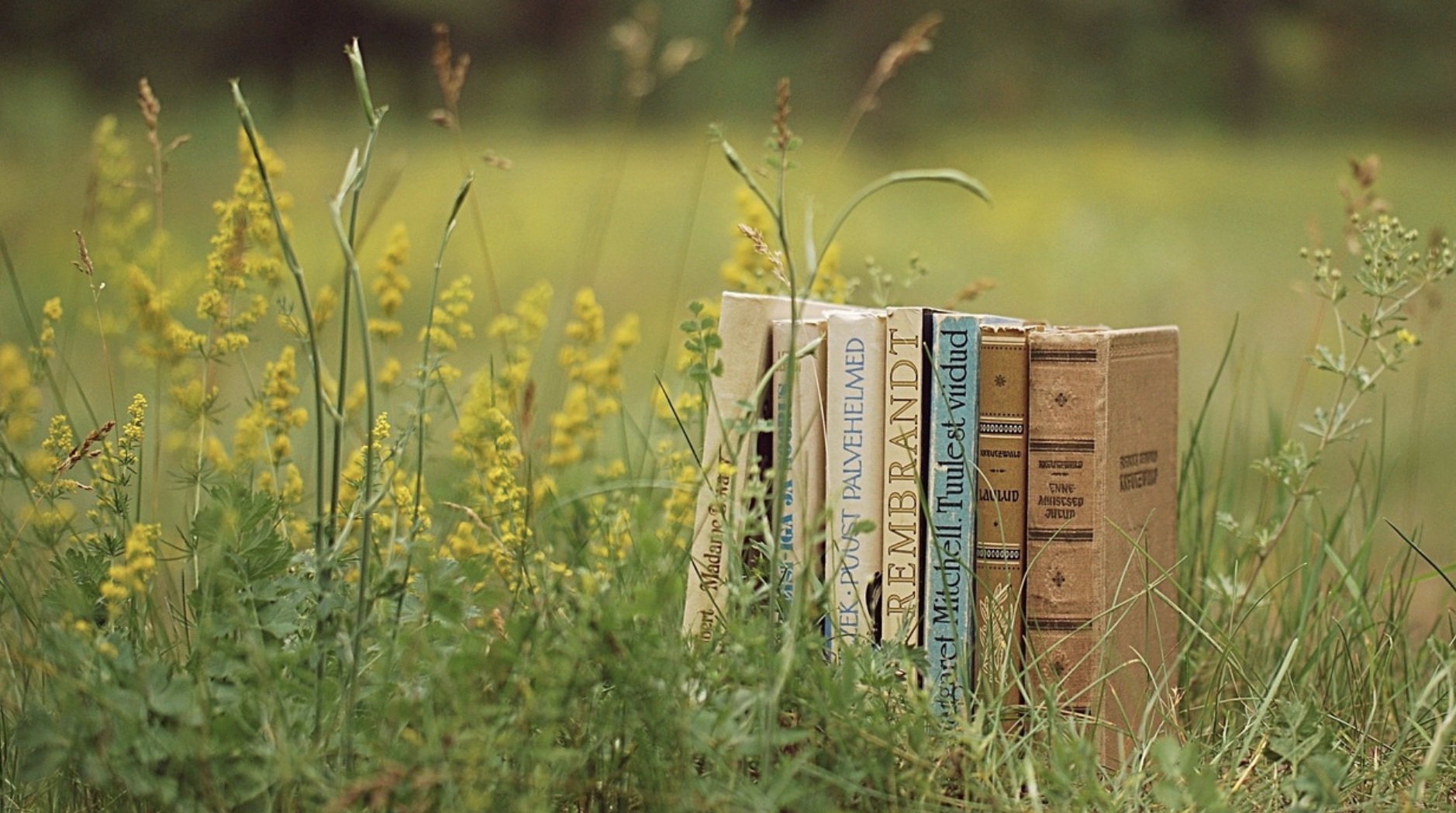 에세이 사유가 형식이 되는 가장 자유로운 산문