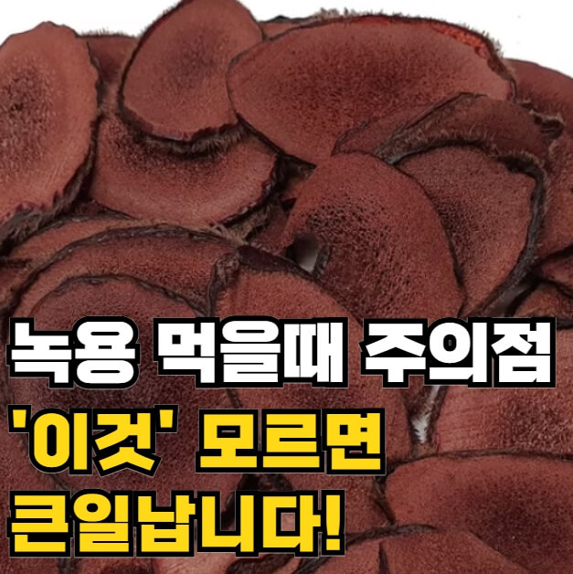 녹용 먹을때 주의점