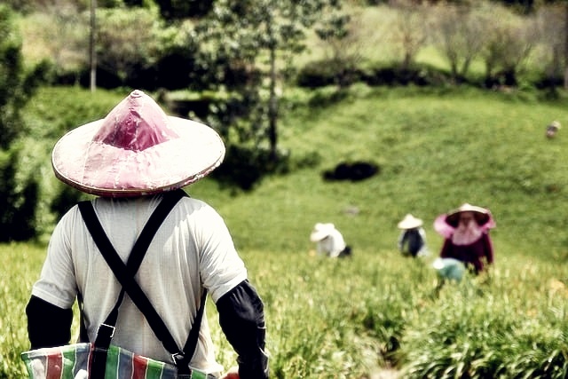 농업경영체 등록 방법