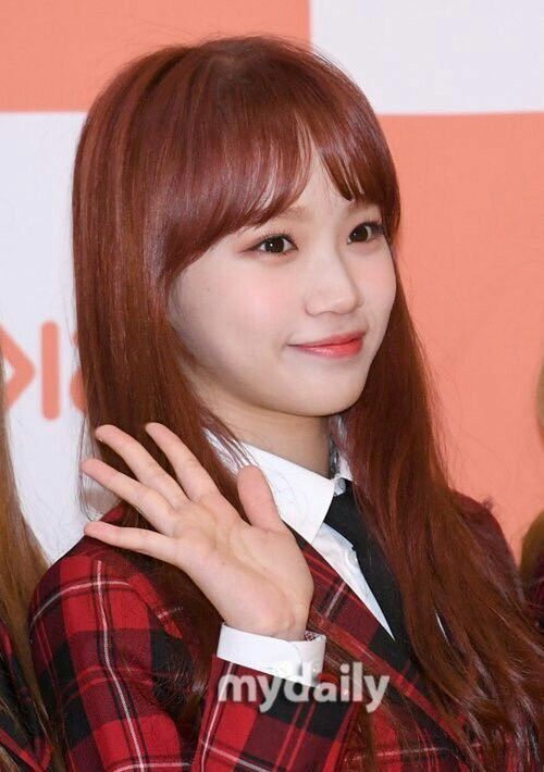 김채원 사진 모음