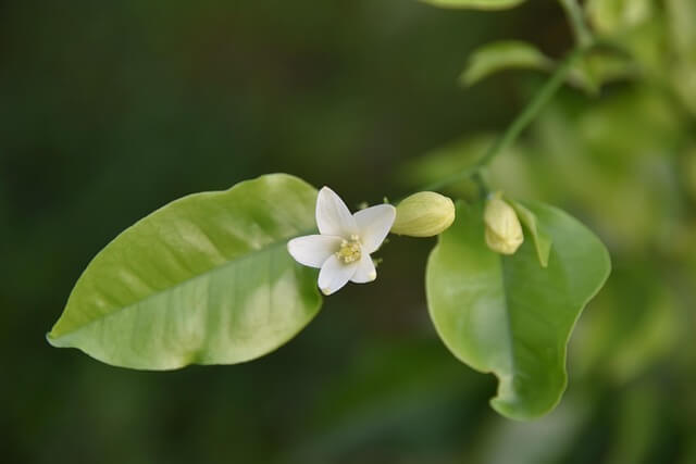아이폰 16 · 16 Pro 잠금화면 위젯 설정법|오류까지 완벽 해결 가이드