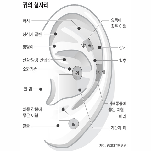 비염에 좋은 혈자리