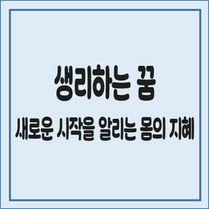 생리하는-꿈-새로운-시작을-알리는-몸의-지혜