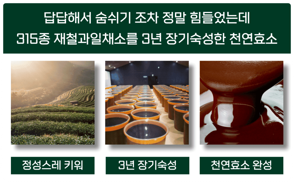 발효효소