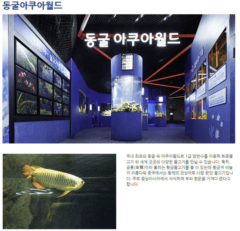 광명동굴 관련 사진5