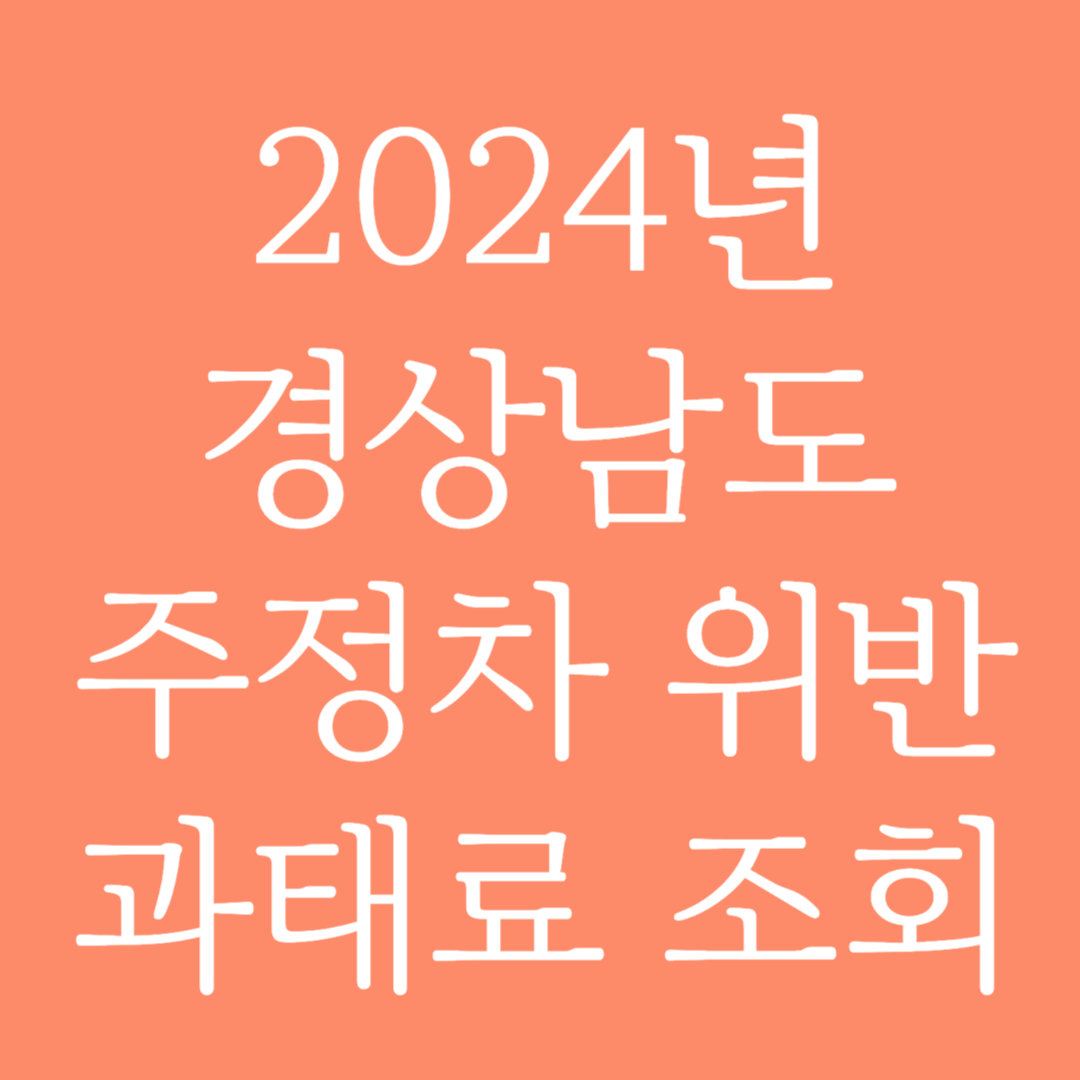 2024년 경상남도 주정차 위반 과태료 조회하기