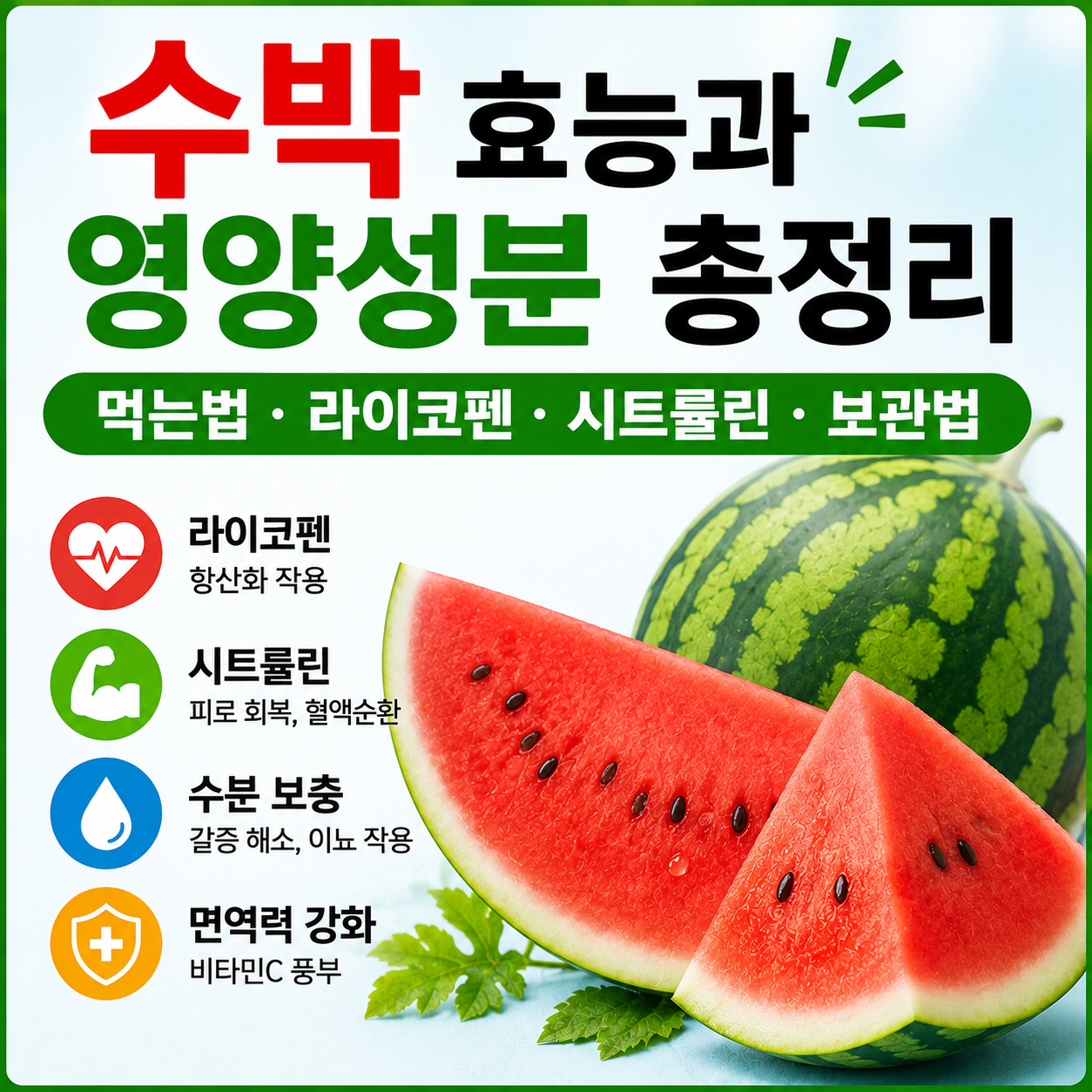 수박 효능