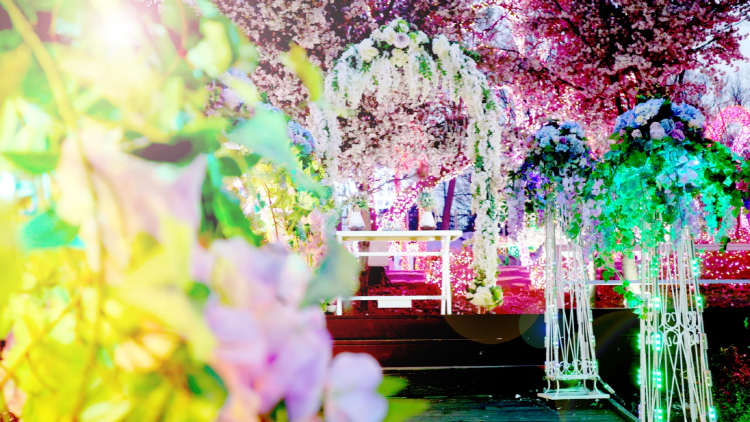 안산 별빛마을 별빛축제