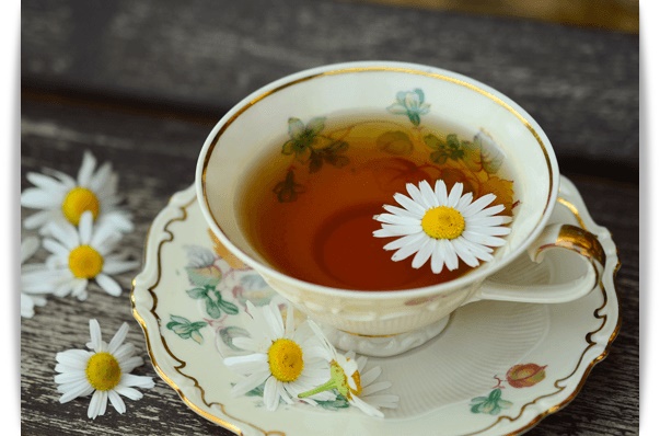 찻잔에 담긴 캐모마일차