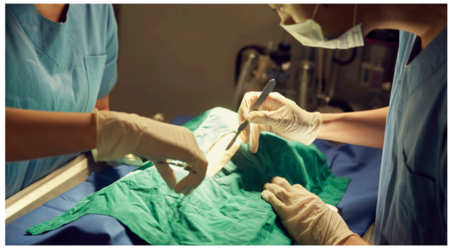 외과의사-하는일-업무환경-되는법-학과-전망