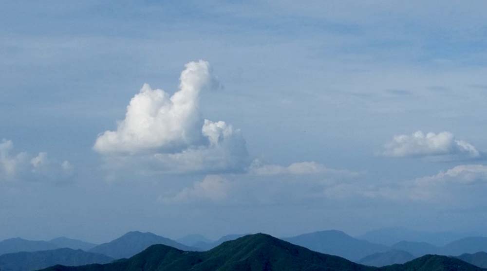 구름강아지
