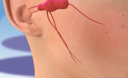 입술 수포 원인