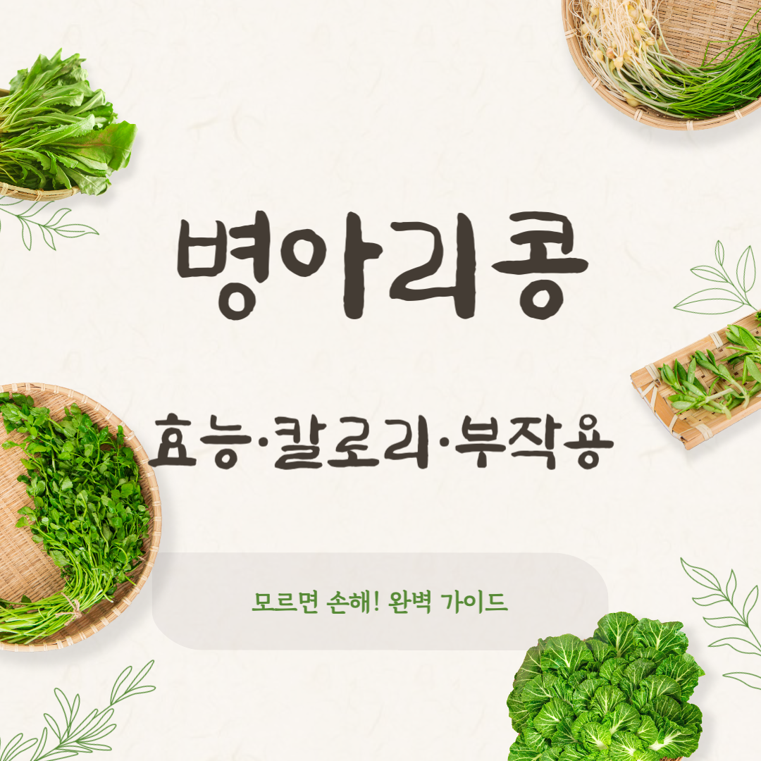 병아리콩 효능·칼로리·부작용, 모르면 손해! 완벽 가이드