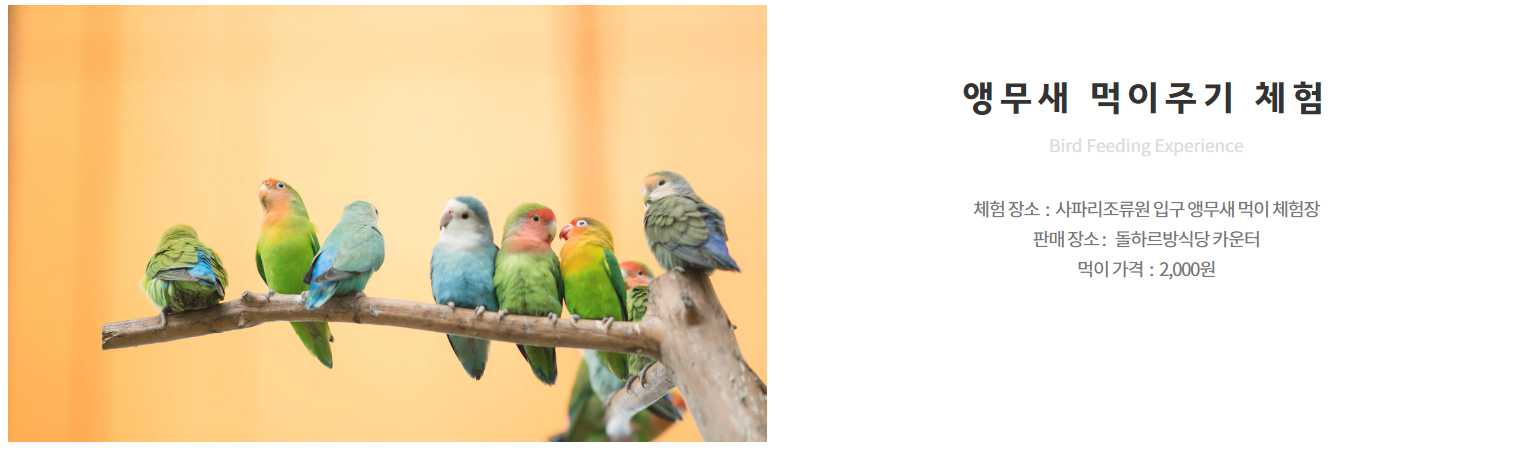 제주 한림공원 수국축제