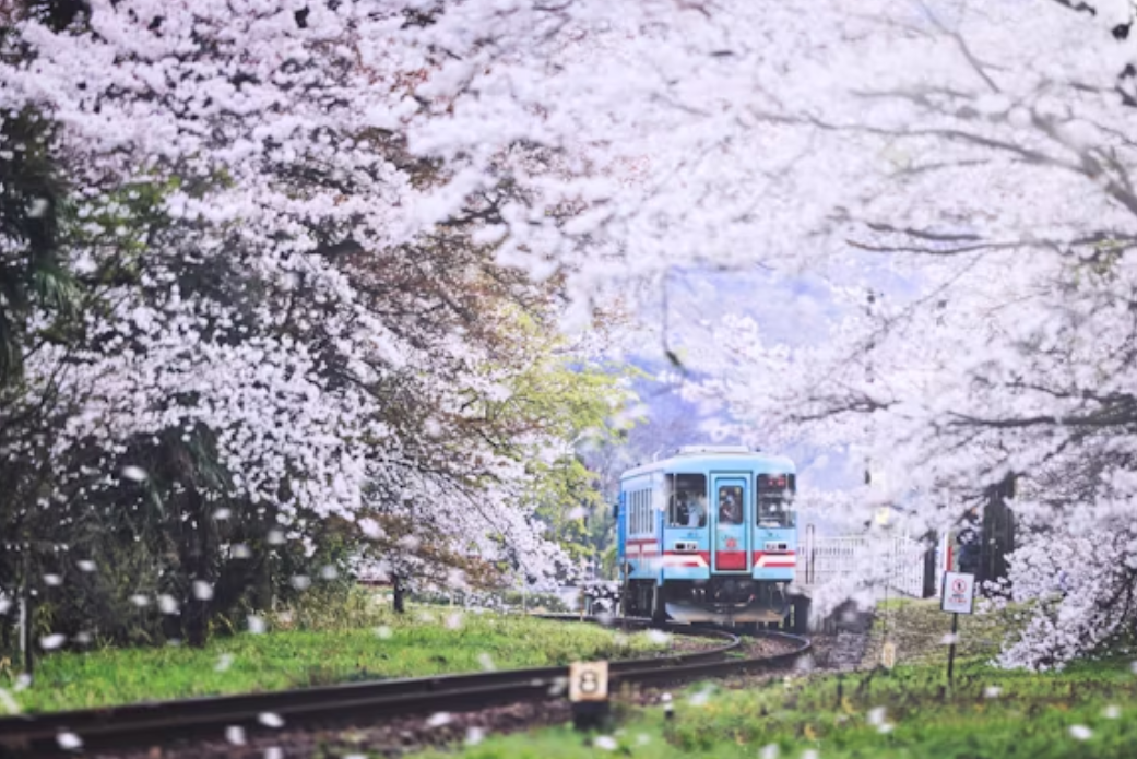 할인 대상 관광열차와 특징