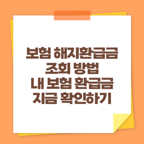 보험 해지환급금 조회 방법 (내 보험 환급금 지금 확인하기)