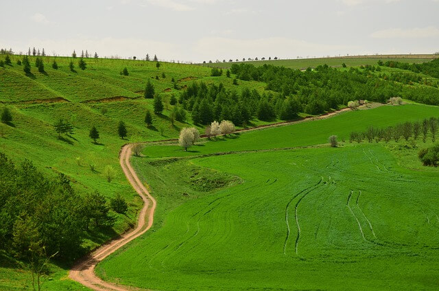 귀촌을 원한다면 실패한 사람들의 이야기를 들어라