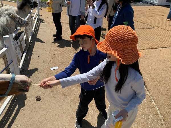 제주에코랜드-다그닥목장