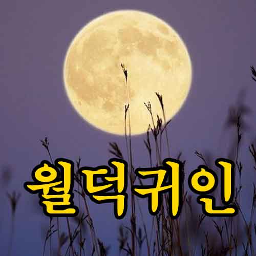 월덕귀인 썸네일