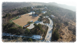 최정산 힐링숲
