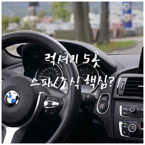 스위스 엥가딘 생 모리츠 럭셔리 호텔..