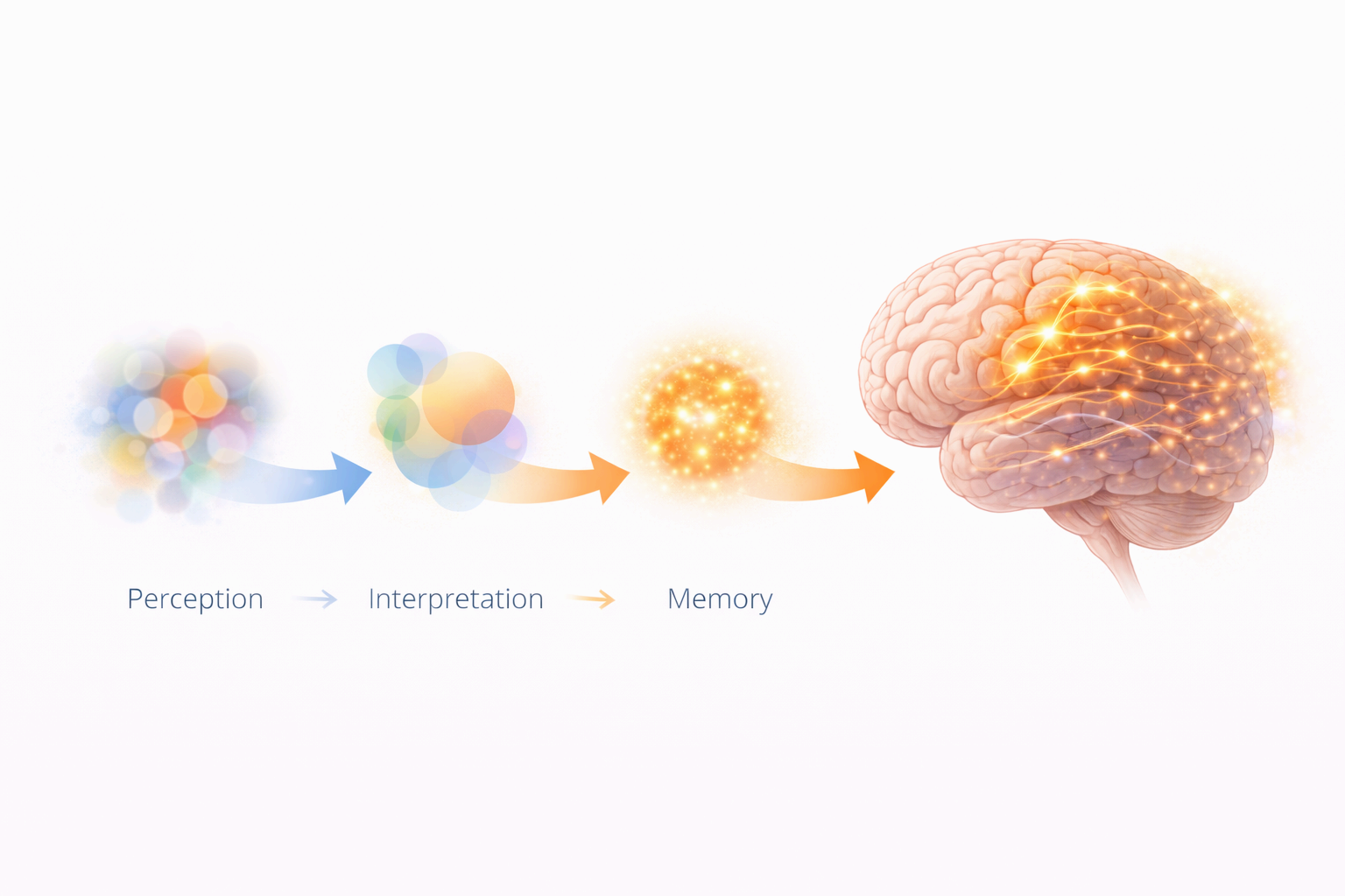 중장년이 기억보다 해석에서 먼저 부담을 느끼는 이유