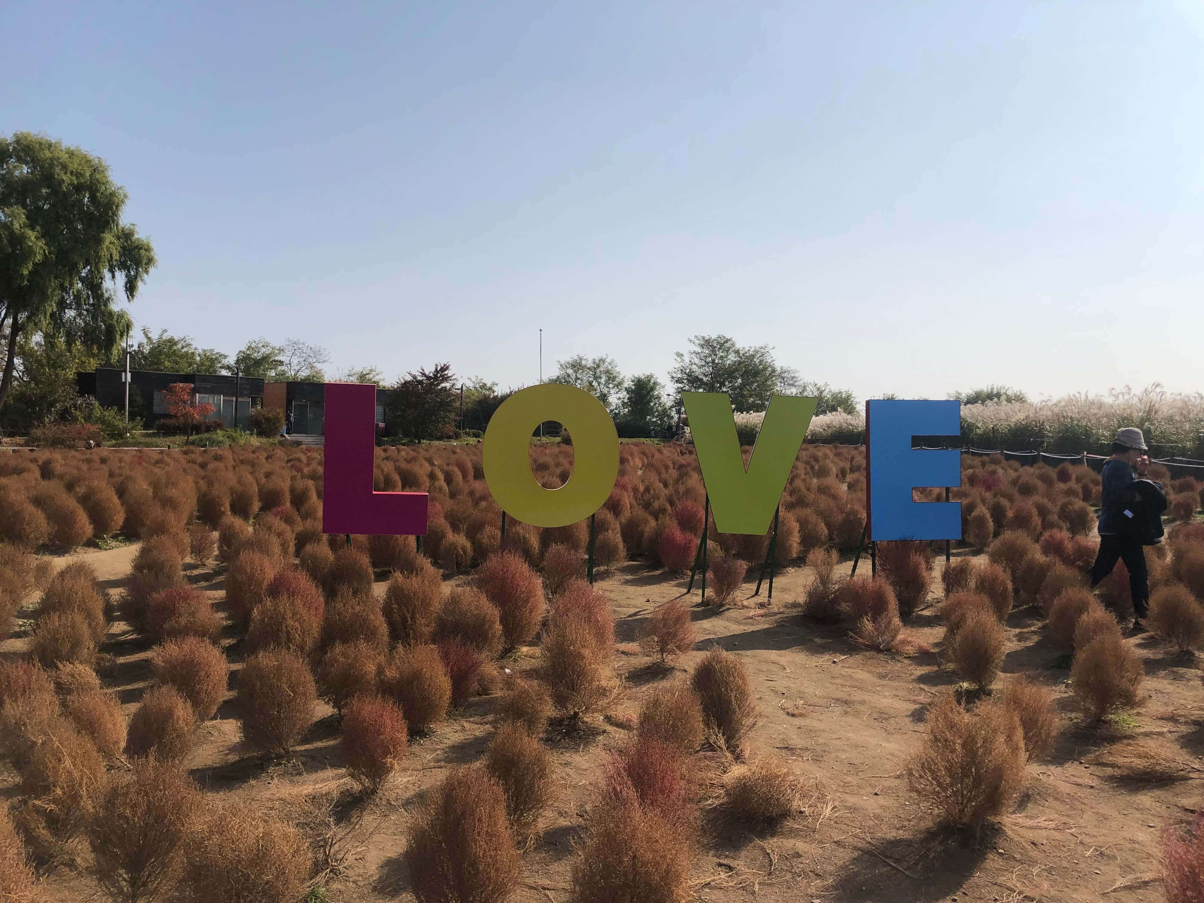 LOVE_포토존