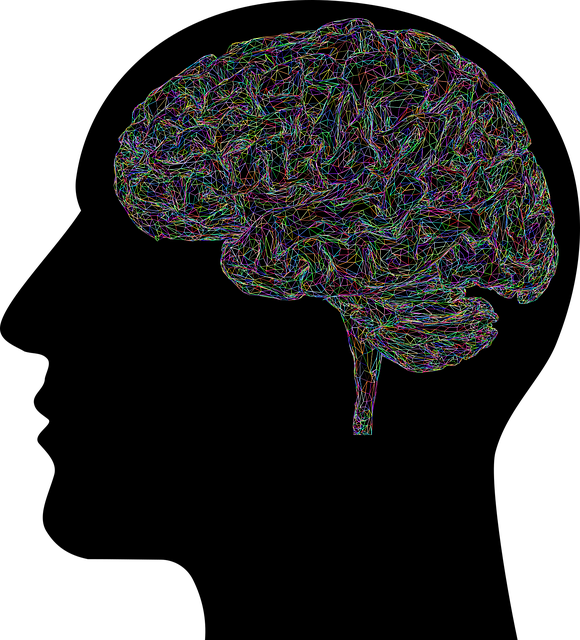 알약방 치매 방송 제품 정보