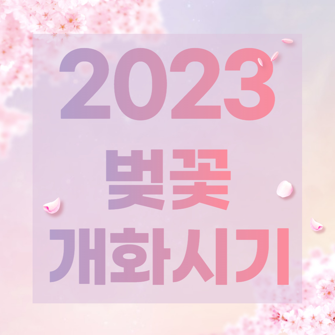벚꽃 개화시기