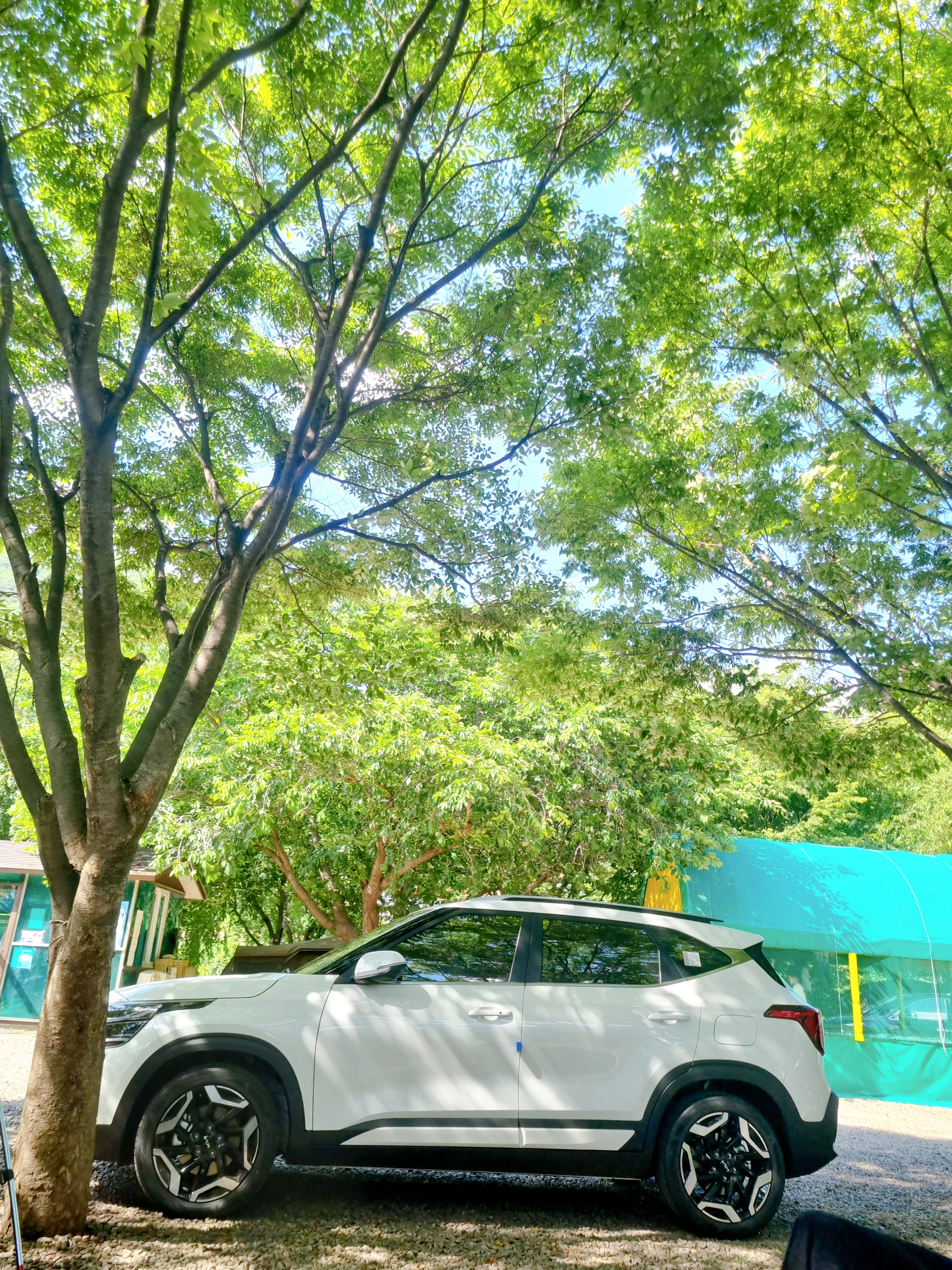 아이비캠핑장