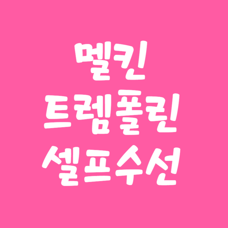 섬네일