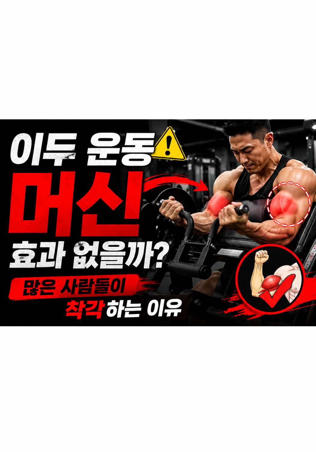 이두 운동 머신은 효과 없을까: 많은 사람들이 착각하는 이유