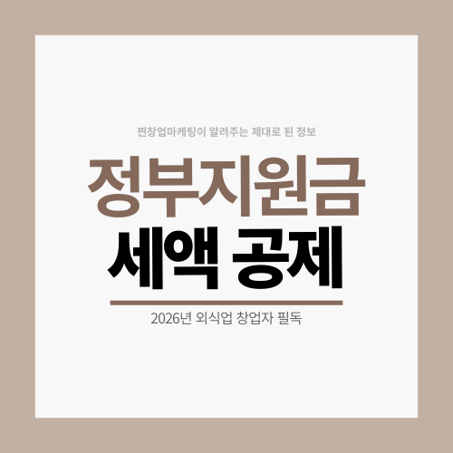 정부지원금 실체