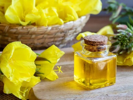 달맞이꽃종자유1