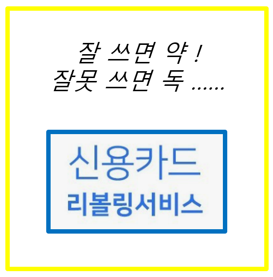 신용카드 리볼빙 서비스 관련