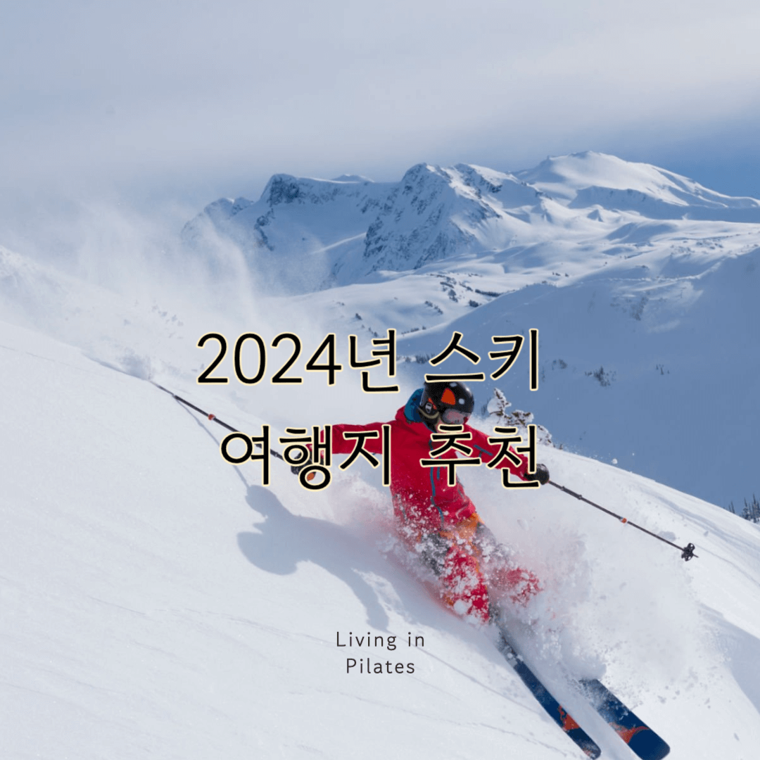 2024 스키여행지 바로가기