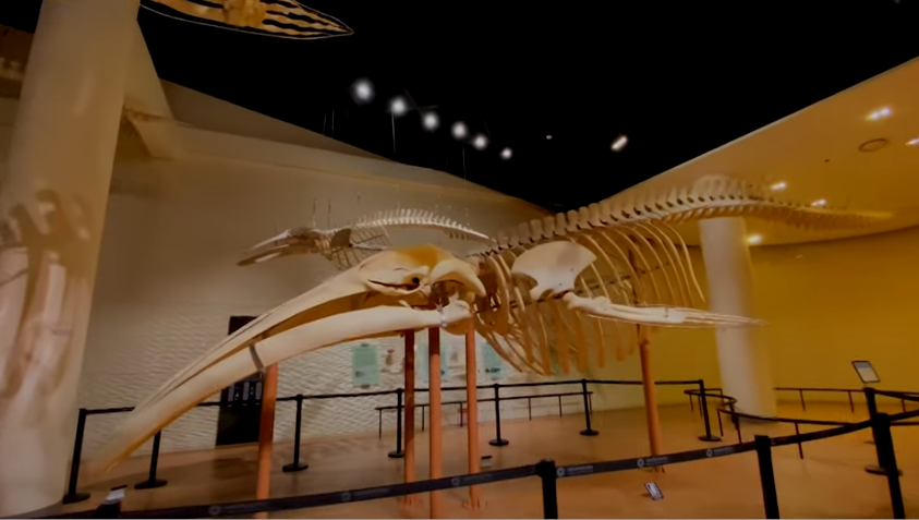 어린이날과 어버이날, 5월의 가족나들이를 위한 톱 5