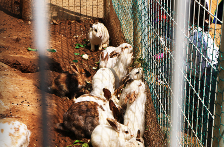 옥토끼 우주센터