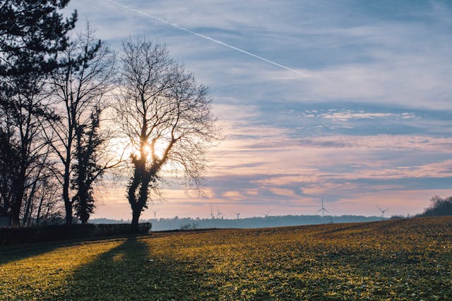 2025년 10월 31일부터 11월 6일까지 전국 날씨 예보