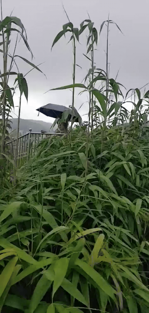 2초간의-짧은-동영상을-움짤로-만든다