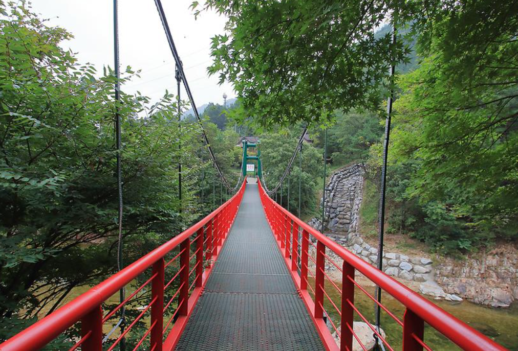 장령산 맑은 계곡