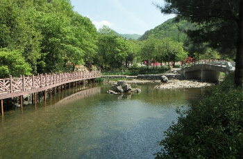 완주 고산 자연휴양림_2